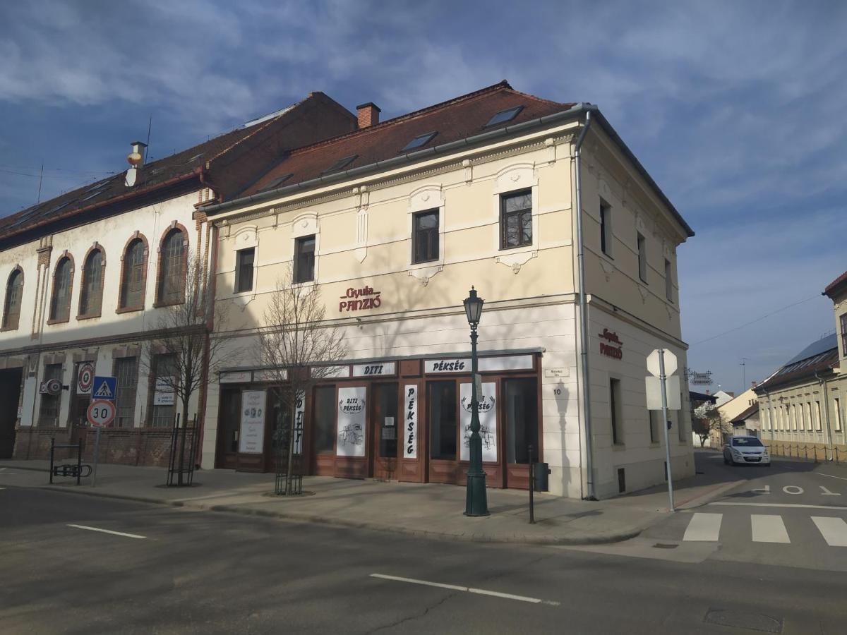Gyula Panzio Hotel Luaran gambar